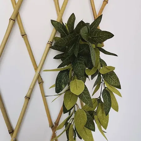 Lc-house Πανσιόν *