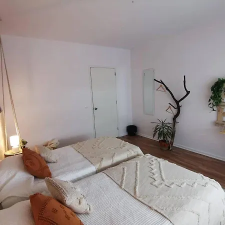 Lc-house Ponta Delgada