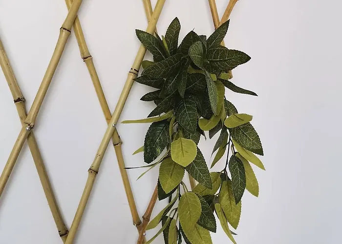 Lc-house ゲストハウス *