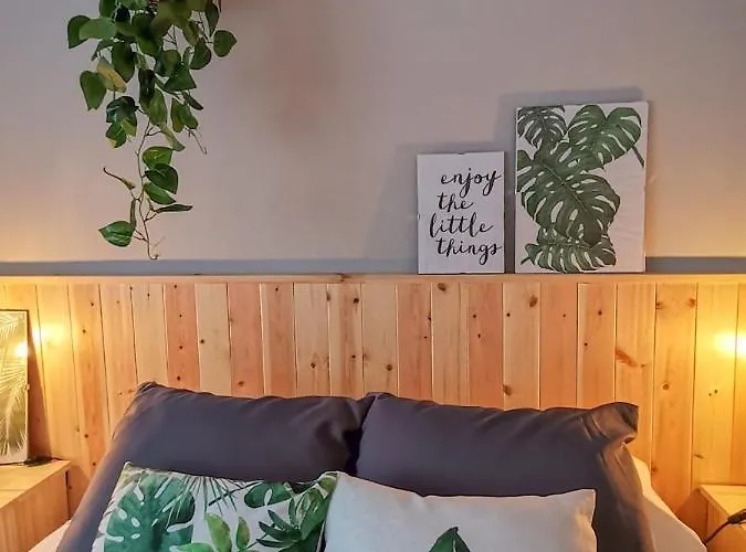 Lc-house ゲストハウス ポンタ・デルガダ