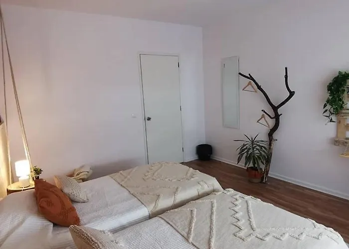 Lc-house Ponta Delgada